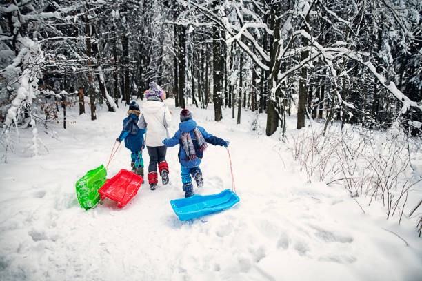 children-sledding-in-winter-forest-picture-id1082562912